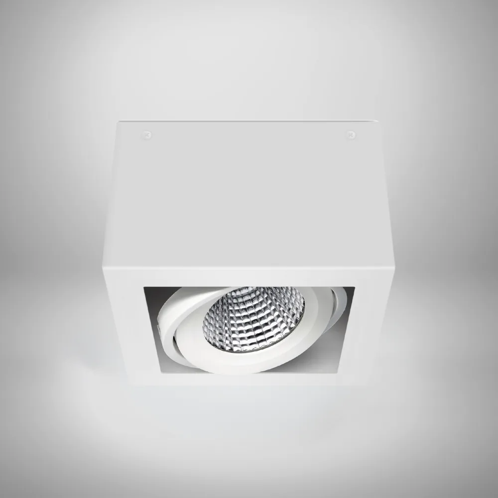 Align surface-mounted adjustable LED spotlight front view