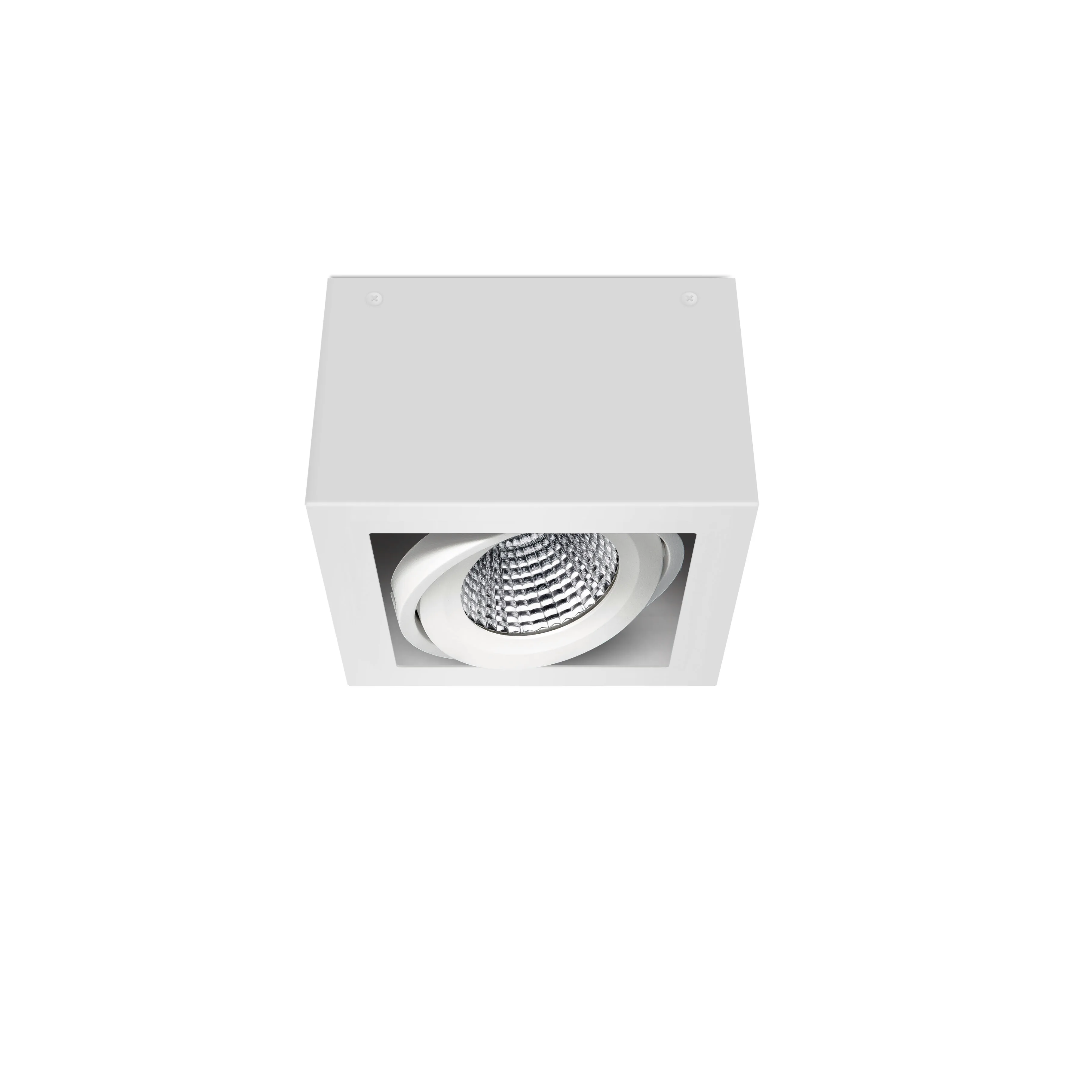 Align adjustable LED spotlight white-background body and mounting view
