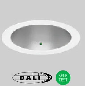 /EMDI DALI or self-test emergency conversion with integral indicator