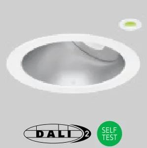 /EMD DALI or self-test emergency conversion with remote indicator