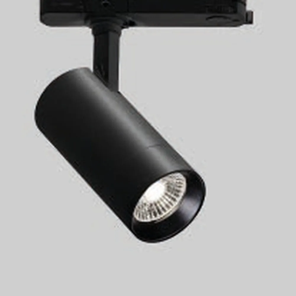 Focal Track body and mounting reference
