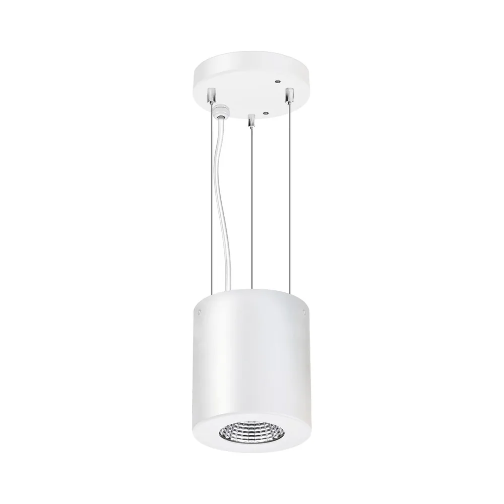 Lumen Suspended mini LED downlight with ceiling plate and suspension wires