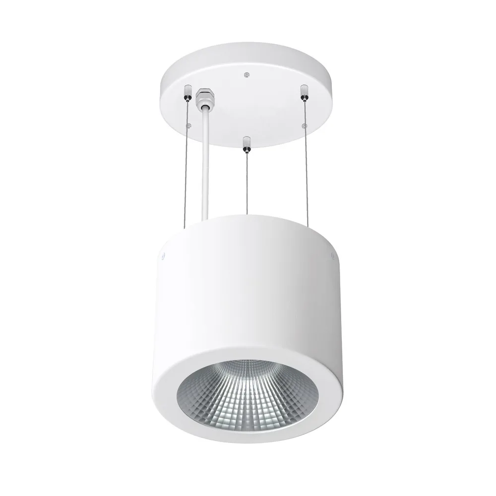 Summit Suspended suspended LED downlight reflector product master on white background