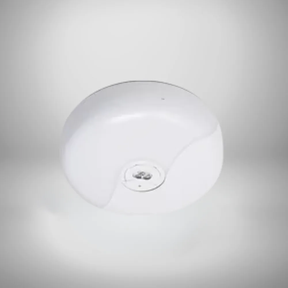 Surface Emergency body and mounting reference