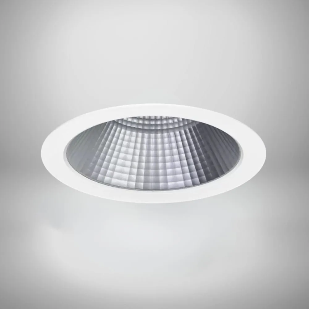 Lumenloop Void luminaire, shown separately to illustrate the role of the driver