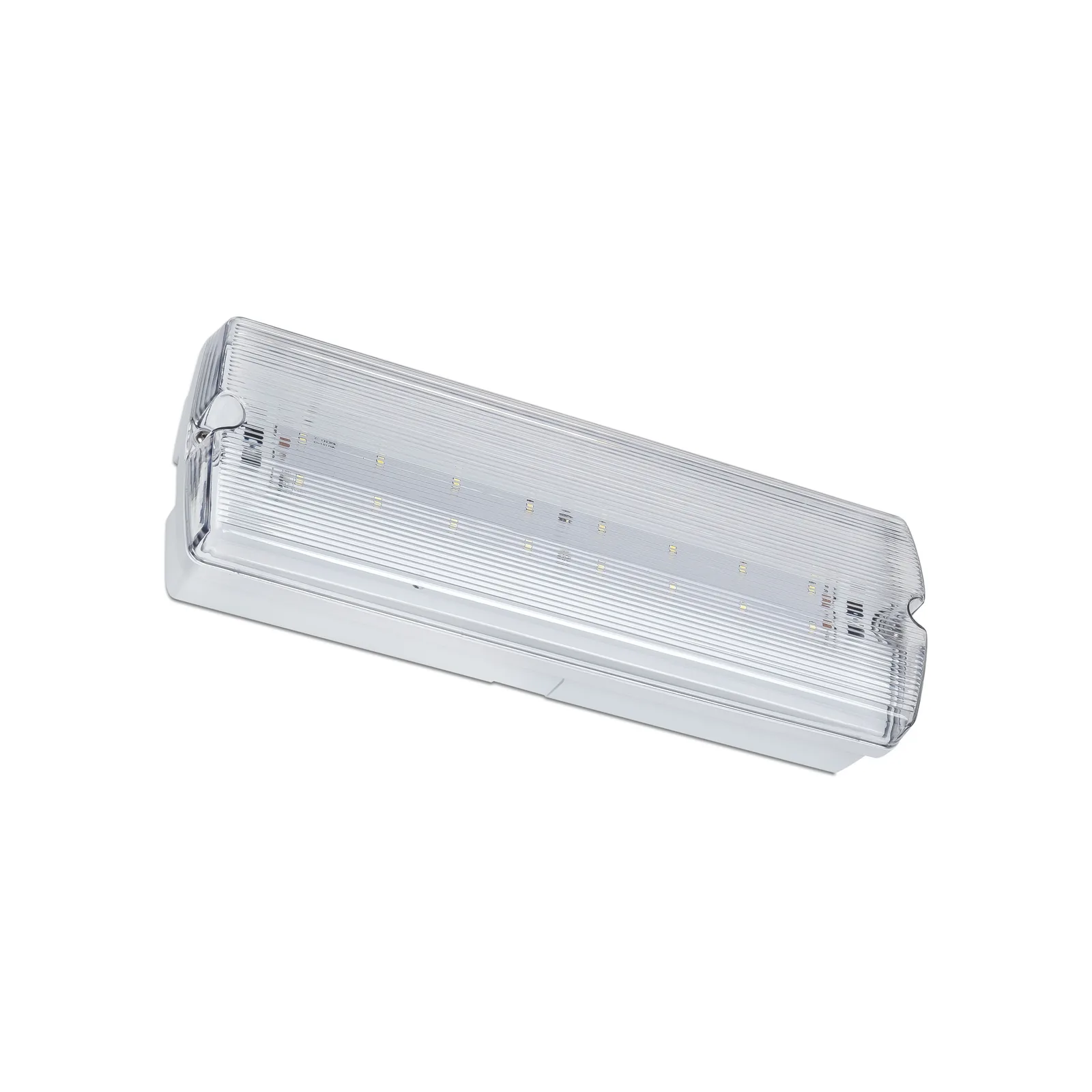 Bright Emergency Bulkhead IP65 LED emergency bulkhead on a high-resolution white background
