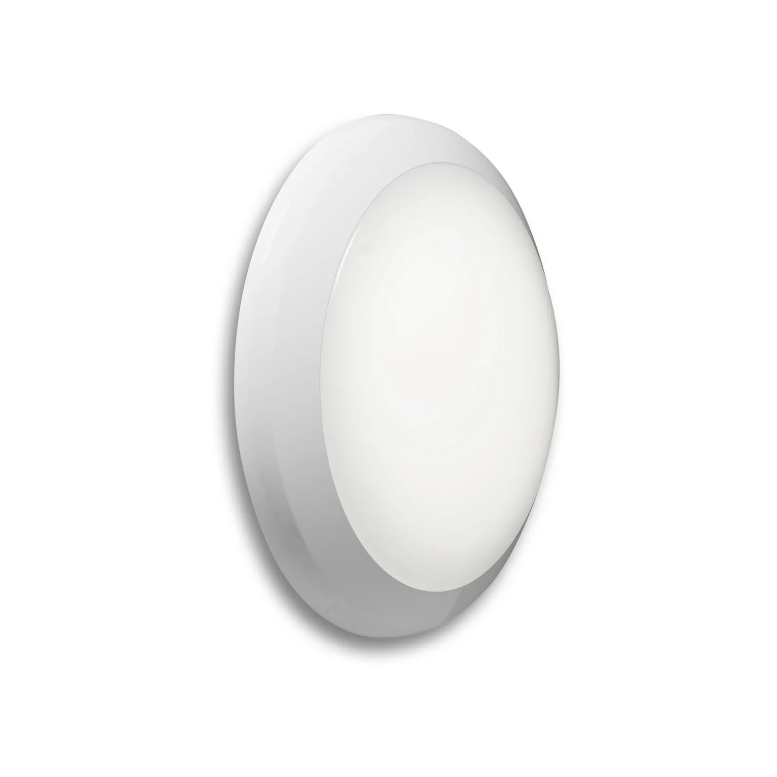 Harbor IP65 IK10 LED bulkhead on a high-resolution white background