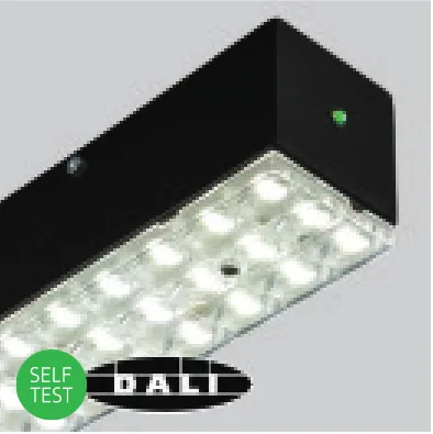 DALI emergency /EMDI
