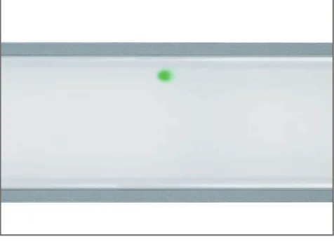 Maintained emergency option /EMI
