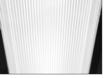 Low glare prismatic lens /LG