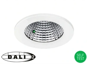 /EMDI DALI and self-test emergency with integral indicator