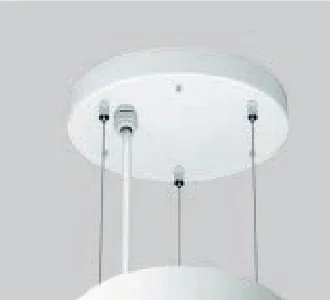 2 m suspension kit with mounting plate /SUS