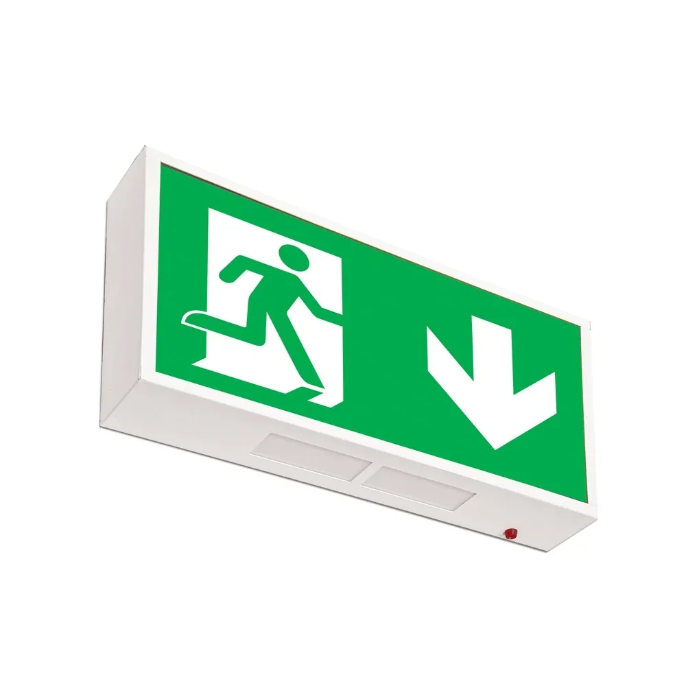 Double-sided wall exit sign with EU arrow down legend panel from the source datasheet