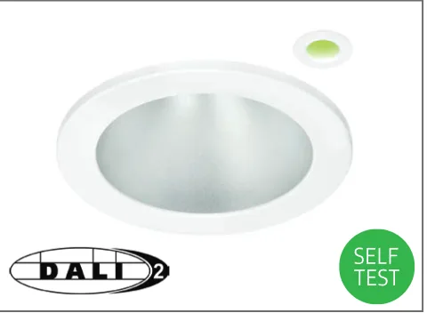 DALI or self-test emergency conversion option /EMD