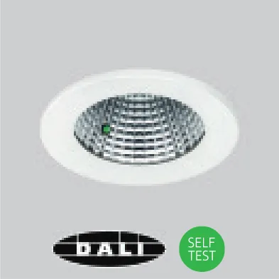 /EMDI DALI emergency with integral indicator