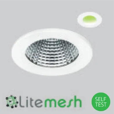 /EMM Wireless mesh emergency
