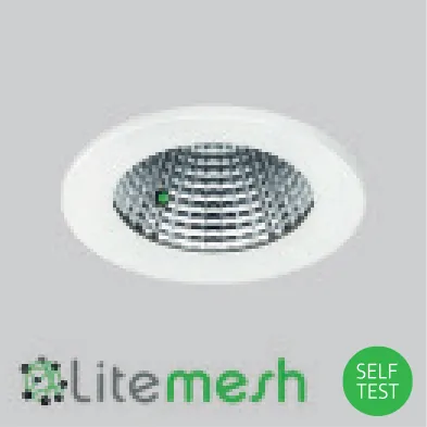 /EMMI Wireless mesh emergency with integral indicator