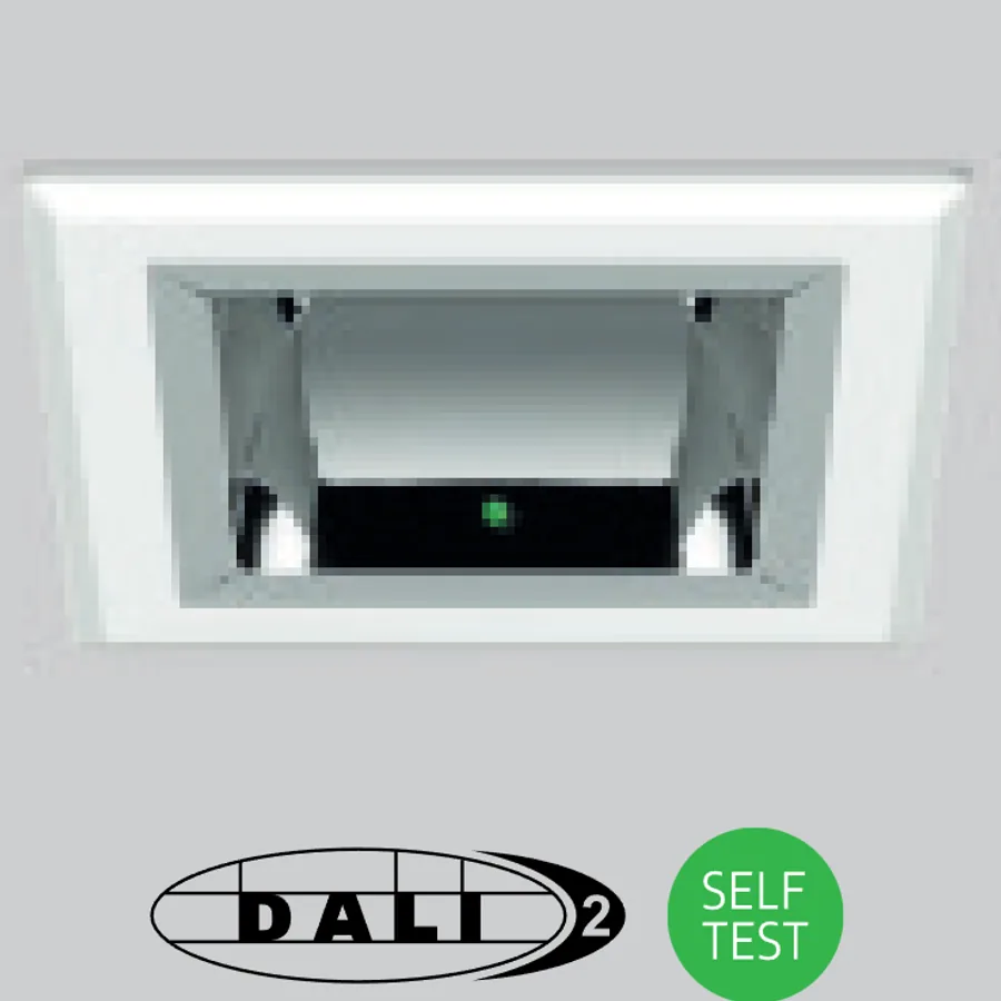 /EMDI DALI emergency with integral indicator