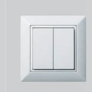Focal Track twin wall switch accessory