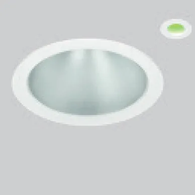 Emergency remote indicator option /EM