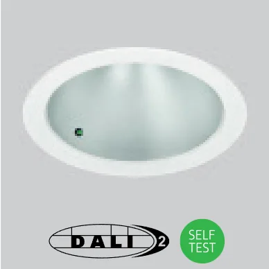 DALI or self-test emergency integral indicator option /EMDI