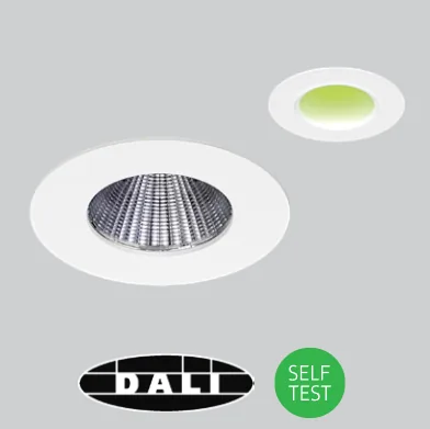 /EMD Self-test or DALI emergency conversion