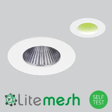 /EMM Wireless mesh emergency option