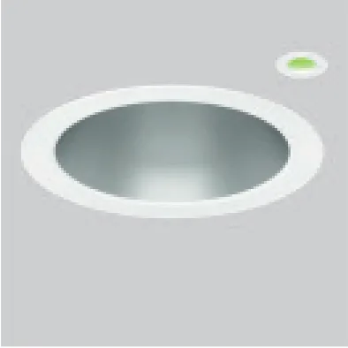 Emergency remote indicator option /EM