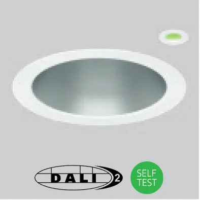 DALI or self-test emergency remote indicator option /EMD