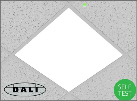 Self-test or DALI emergency option /EMD