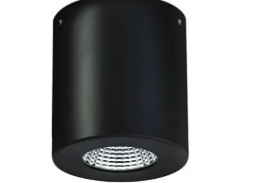 /BK RAL9005 black surface can