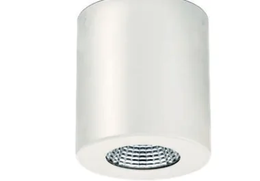 /WH RAL9010 white surface can