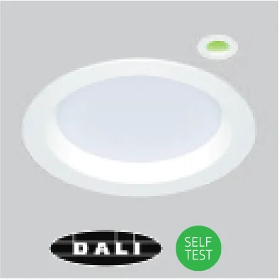 Self-test or DALI emergency (/EMD)