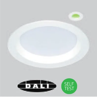 Self-test or DALI emergency (/EMD)