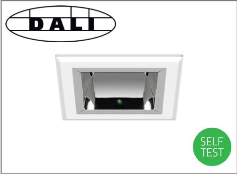DALI emergency option /EMDI