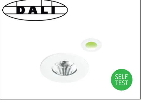 Self-test or DALI emergency option