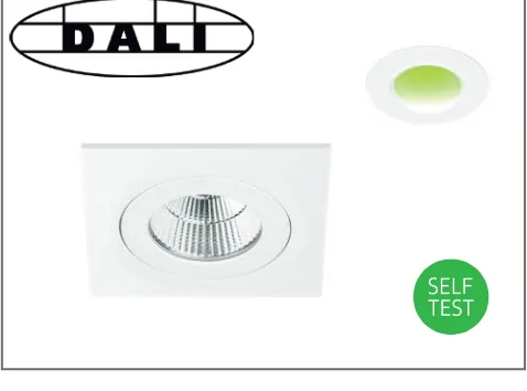 Self-test or DALI emergency option