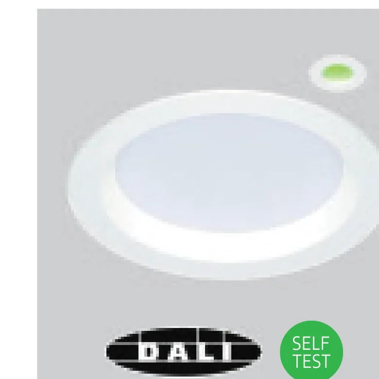 Self-test or DALI emergency (/EMD)
