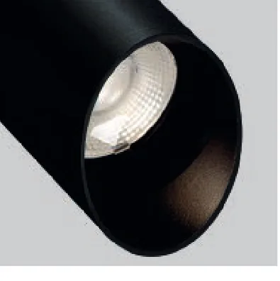 Asymmetric snoot black option