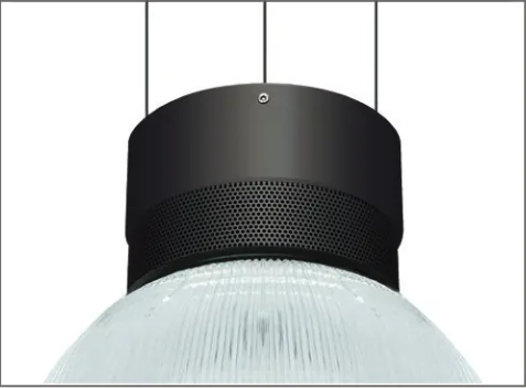 Black body finish combination