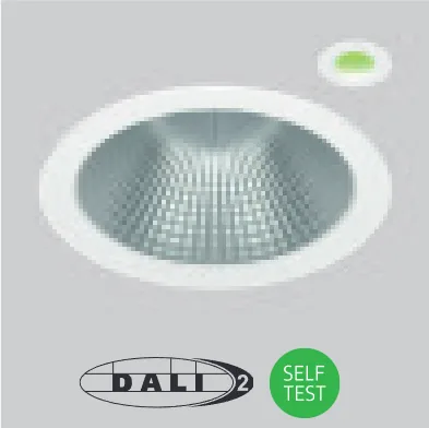 Self-test or DALI emergency option /EMD