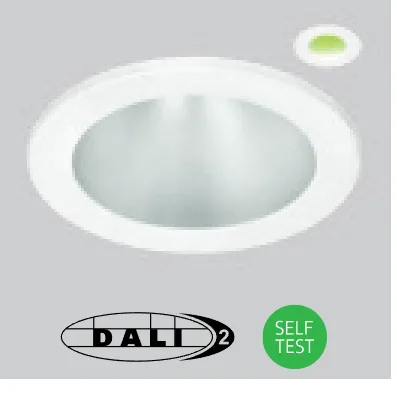 Self-test or DALI emergency option