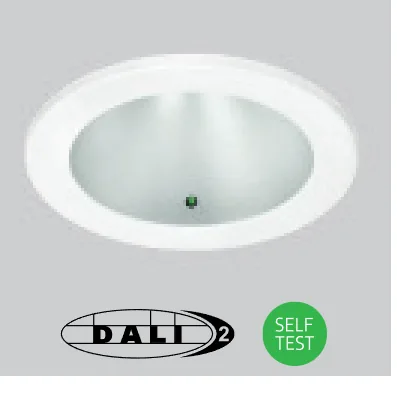 DALI emergency option