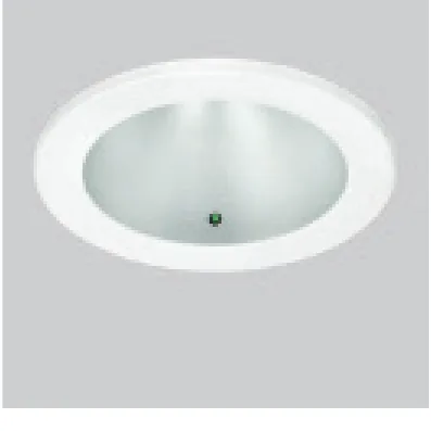 Maintained emergency option