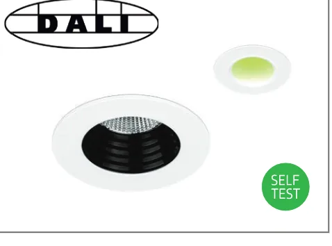 Self-test or DALI emergency option