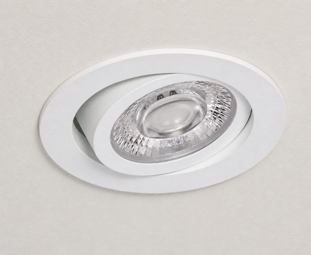 Axis shown in a commercial lighting application