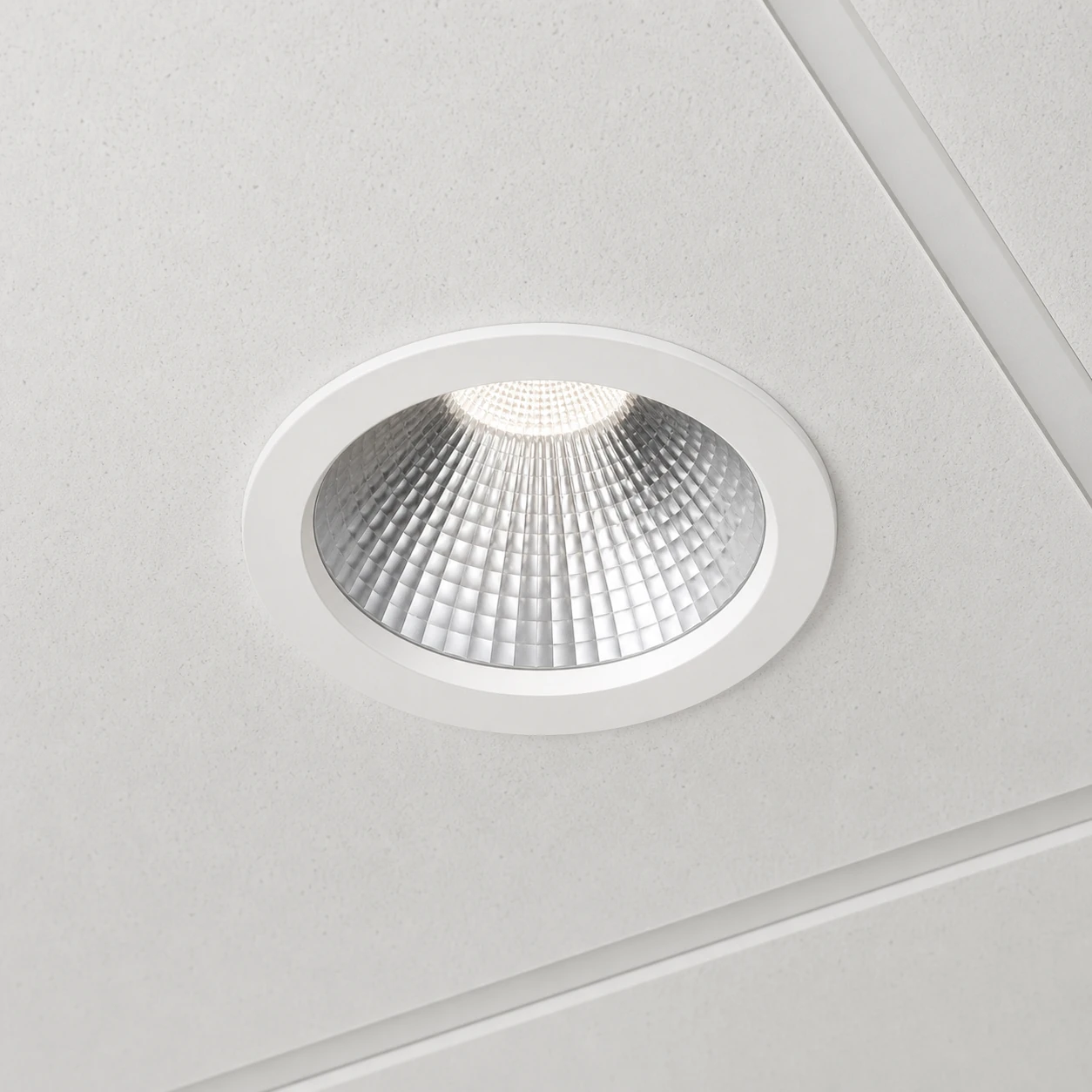 Circa shown in a commercial lighting application