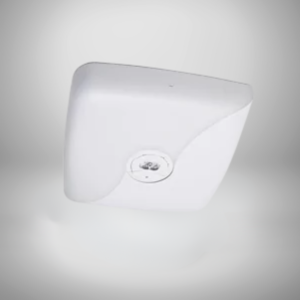 emergency light for industrial buildings